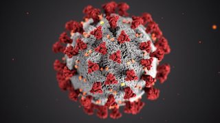 Informació Coronavirus